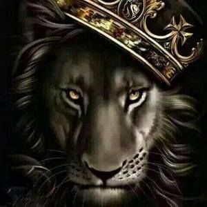 Meet your Posher, Ennis